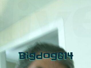 Bigdog614