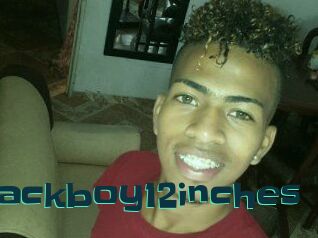 Blackboy12inches