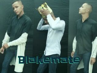 Blakemate
