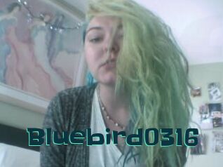 Bluebird0316