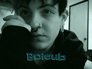 Boicub