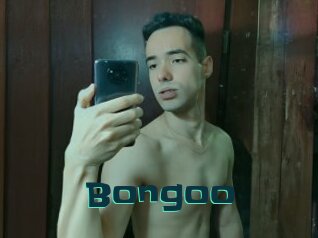 Bongoo