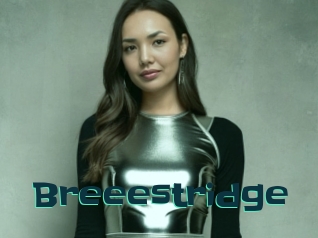 Breeestridge