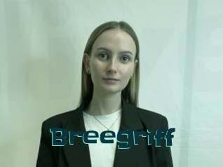 Breegriff