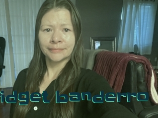 Bridget_banderro