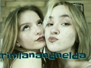 Brimlanandnelda