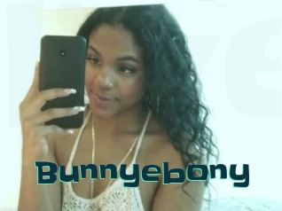 Bunnyebony
