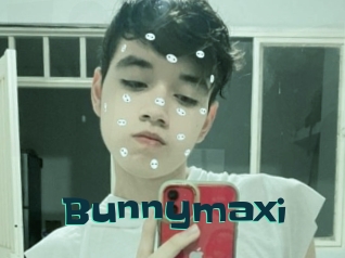 Bunnymaxi