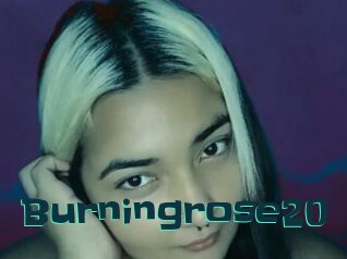 Burningrose20