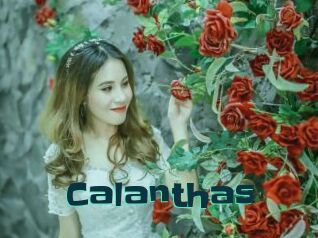 Calanthas