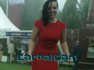 CarnalCam