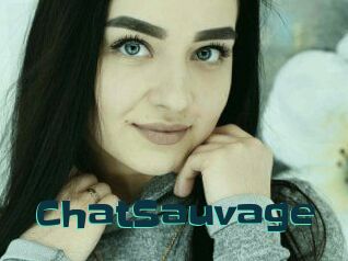 ChatSauvage