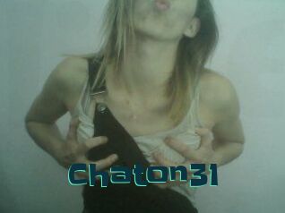 Chaton31