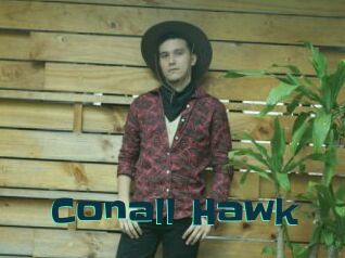Conall_Hawk