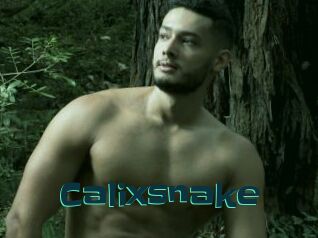 Calixsnake