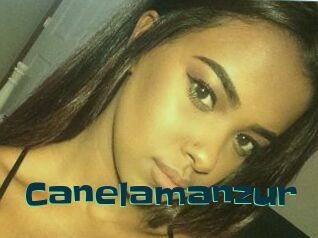 Canelamanzur