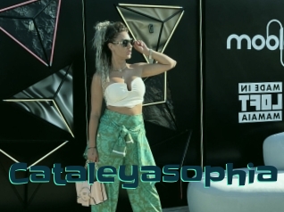 Cataleyasophia