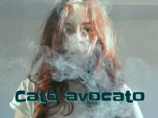 Cato_avocato