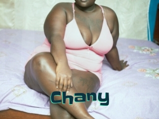Chany