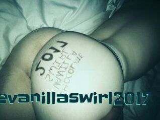 Chocolatevanillaswirl2017