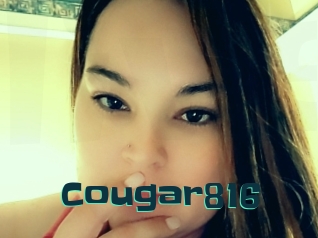 Cougar816