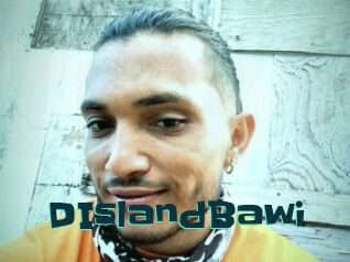 DIslandBawi