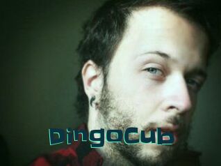 DingoCub