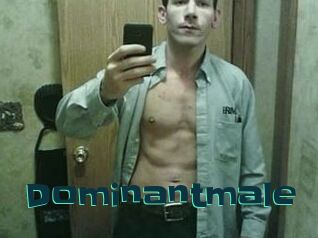Dominantmale