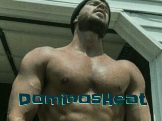 DominosHeat