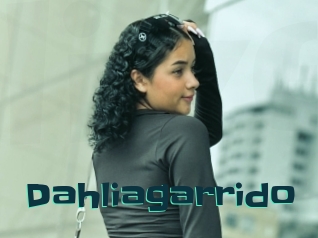 Dahliagarrido