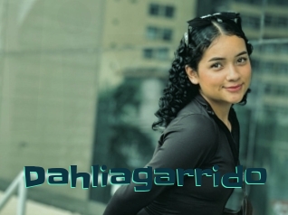 Dahliagarrido