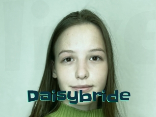 Daisybride