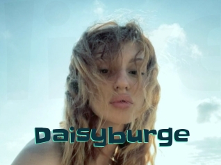 Daisyburge