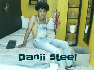 Danii_steel