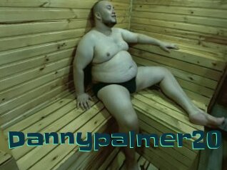 Dannypalmer20