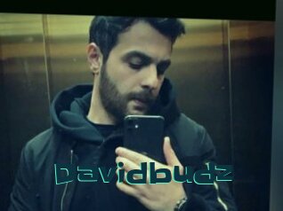 Davidbudz