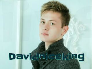 Davidniceking
