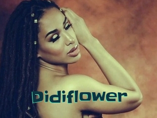 Didiflower