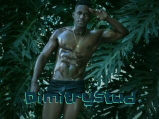 Dimitrystud