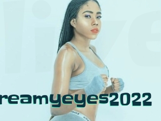 Dreamyeyes2022