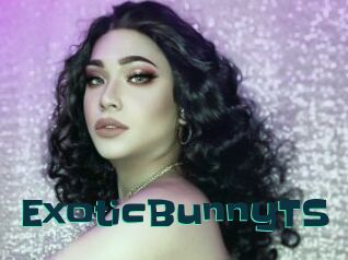 ExoticBunnyTS