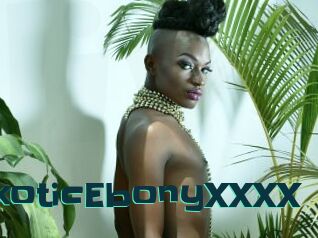 ExoticEbonyXXXX