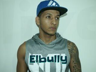 Elbully