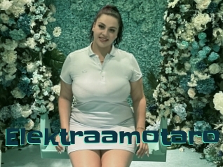 Elektraamotaro