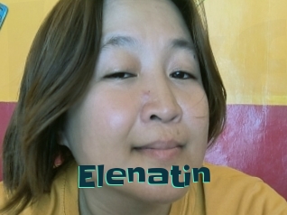 Elenatin
