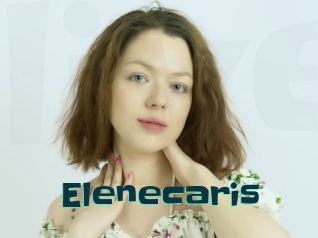 Elenecaris
