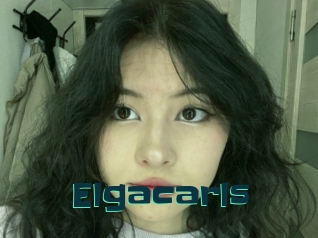 Elgacarls