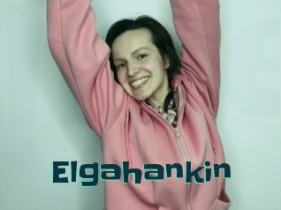 Elgahankin
