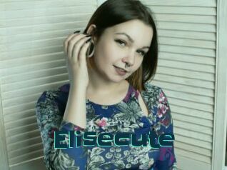 Elisecute