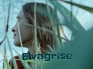 Elvagrise